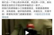 吃瓜娱乐营销号,揭秘娱乐圈幕后营销大揭秘